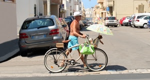 bicicletta, ombrello, strada, cappello, cane, borsa, uomo, cestino, auto, automobili, macchine, case, ruote, azzurro, ciclista