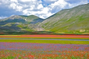 nuvole, cielo, montagne, verde, rosso, fiori, colori, prato, colline, viola, prati, campi, campo, giallo, paesaggio, montagna, azzurro, fioriture