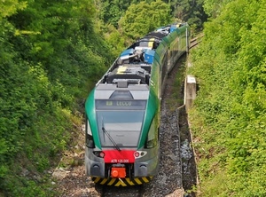 treno, verde, binari, locomotore, alberi, ferrovia, binario, rotaie, locomotiva, lecco