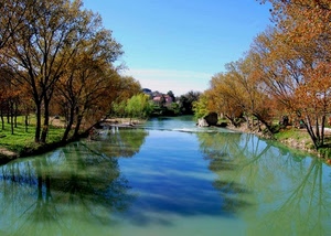 fiume, alberi, acqua, autunno, riflessi, ombre, corso, azzurro, cielo