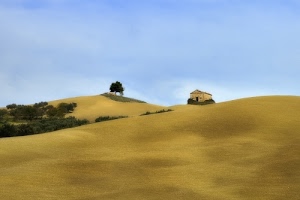 cielo, alberi, colline, casa, verde, azzurro, giallo, campi, albero, campagna, casolare, piante, agricoltura, paesaggio, terreno