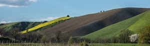 verde, colline, cielo, nuvole, alberi, azzurro, giallo, agricoltura, marrone, collina, campi, campagna, panorama, paesaggio, erba, prati, coltivazioni