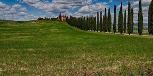 nuvole, cielo, alberi, cipressi, verde, strada, erba, azzurro, prato, colline, campagna, casa, panorama, case, filare, filari, paesaggio, cascina