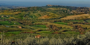 alberi, verde, colline, panorama, paesaggio, case, campagna, campi, piante, natura, collina, strade, borghi, cielo, coltivazioni, cipressi