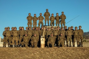 soldati, militari, cielo, divise, stivali, elmetti, azzurro, divisa, ascia, prato, uomini, mimetica, uniformi, elmetto, erba, tute, gruppo, tanti, verde, caschi, scure, marrone, uniforme, esercito, ceppo