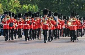 banda, strumenti, nero, rosso, divise, uniformi, divisa, trombe, cappello, alberi, copricapo, verde, cappelli, musicisti, musicale, colbacchi, uniforme, grancassa, sfilata, giubbe, musica