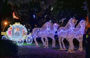 cavalli, carrozza, luminarie, luci, alberi, zucca, cenerentola, ruote, notte, azzurro, quattro, rosso, stelle, natale, viola, fiaba, notturno