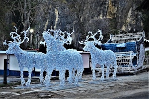 renne, luci, slitta, alberi, natale, bianco, natalizio, azzurro, luminarie, corna, quattro, carrozza, rami