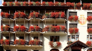 balconi, fiori, finestre, rosso, gerani, stemma, vasi, hotel, casa, piante, pattern, bianco, palazzo, porte, legno, edificio