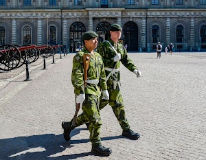 cannoni, soldati, piazza, divise, militari, fucile, due, ruote, archi, verde, divisa, finestre, persone, basco, palazzo, fucili, berretti, armi, uniforme, portoni, berretto, ombra