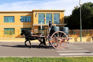 botti, cavallo, carretto, strada, strisce, ruote, finestre, carro, edificio, alberi, erba, ruota, raggi, bandiere, pedonali, verde, recinzione, persona, cielo, giallo, cane