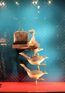 borsa, vetrina, oche, rosso, tre, azzurro, uccelli, riflesso