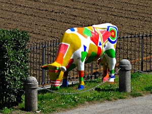 mucca, colori, siepe, catena, erba, verde, terra, multicolore, rosso, bianco, giallo, statua, paracarri, recinzione, strada, vacca, blu, campo, campagna, ringhiera, catene