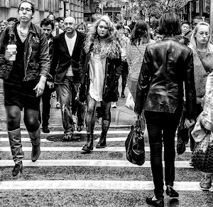 strisce, bianconero, persone, donne, scarpe, uomini, giacche, stivali, borse, camminare, capelli, nero, borsa, gambe, strada, gente, alberi, bianco, case, folla, pedonali