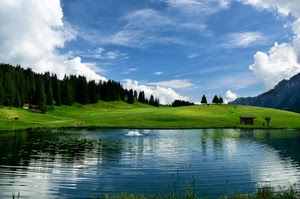 lago, cielo, nuvole, alberi, prato, riflesso, acqua, riflessi, verde, panorama