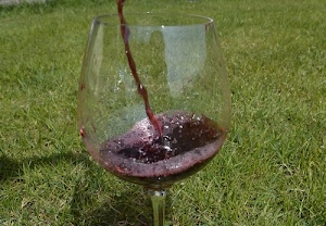 vino, bicchiere, erba, calice, rosso, verde, vetro, prato, schiuma, trasparente, liquido, versare, ombre, ombra, versato