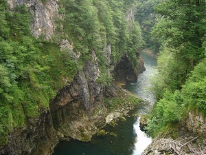 fiume, alberi, acqua, gola, rocce, verde, torrente, natura, roccia, piante