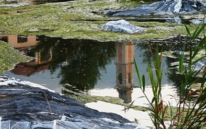 campanile, acqua, riflesso, erba, pozzanghera, casa, albero, neve, riflessi