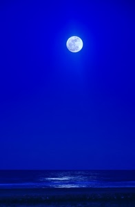 mare, luna, blu, riflesso, cielo, piena