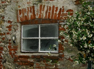 mattoni, finestra, fiori, muro, gelsomino, vetro, pianta, foglie, verde, bianco, casa