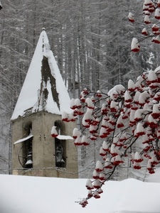 neve, campanile, campane, inverno, bianco, sorbo, rami, bacche