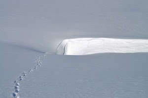 bianco, neve, orme, inverno, tracce, impronte, avvallamento, minimalismo