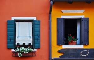 finestre, fiori, giallo, vasi, persiane, due, palazzo, grondaia, piante, ante, bicolore