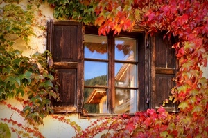finestra, foglie, riflesso, rosso, vetro, autunno, vetri, riflessi, ante, pianta