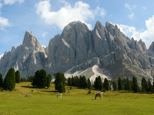 cavalli, alberi, nuvole, montagna, prato, montagne, cielo, verde, pascolo, cime, rocce, erba, animali, dolomiti, pini, bosco