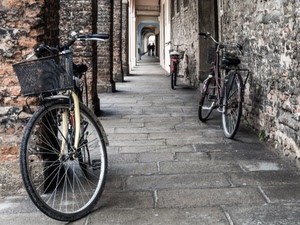 biciclette, tre, portico, cestino, portici, ruote, colonne, ruota, bicicletta