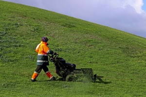 prato, erba, tosaerba, verde, collina, tagliaerba, arancio, persona