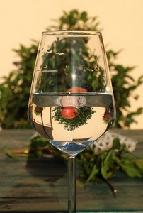 bicchiere, acqua, calice, riflesso, trasparenza, vetro, foglie, bacca, albero