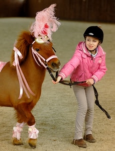 rosa, pony, bambina, cavallo, piuma, pennacchio, cavallino, bambino