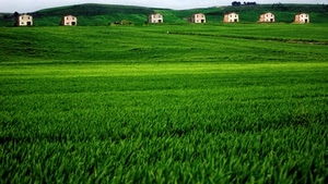 verde, case, erba, sette, campo, prato, panorama, casette, colline, campagna