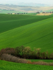 verde, alberi, colline, erba, campi, campagna, prato, paesaggio, prati, panorama
