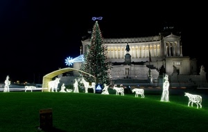presepe, albero, natale, notte, roma, luci, stella, pecore, monumento, altare