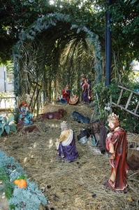 presepe, magi, paglia, statue, re, verde, natività, statuine, natale, scala, giuseppe, madonna, asino, bue, capanna, bambino, presepio, maria, palme, rami, piante