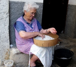 donna, secchio, mani, anziana, occhiali, fagioli, grembiule, setaccio, seduta, bianco, nonna, signora, legumi
