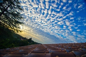 nuvole, cielo, tetto, tegole, verde, bianco, azzurro, albero, alberi, tramonto, alba, rosso, coppi, case, sole, pecorelle, rami
