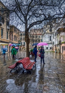 pioggia, ombrelli, panchina, albero, panchine, piazza, bagnato, città