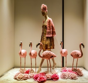 fenicotteri, vetrina, manichino, rosa, fiori, rose, animali, vestito, uccelli, abiti, abito, zampe, donna, negozio, mantella, becchi, becco
