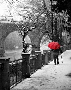 ombrello, neve, ponte, alberi, rosso, inverno, uomo, parapetto, fiume, bastone, ringhiera, bianco, grigio, lungofiume, orme, passante, archi, persona, rami