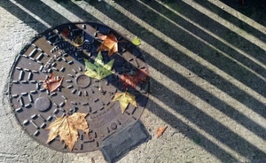 foglie, tombino, ferro, ombre, autunno, ombra, cerchio, strada, luci, chiusino, verde, linee, marrone, asfalto, scritte, strisce, diagonali, righe, metallo