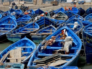barche, porto, azzurro, blu, legno, carretti, pescatori, galleggianti, tante, reti, acqua, banchina, rimessaggio, remi