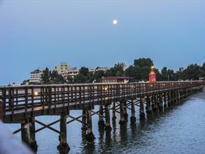 acqua, alberi, luna, cielo, case, ponte, pontile, azzurro, legno, pali, fiume, lago, mare, verde, parapetto, molo, palazzi, città, lampioni, piloni